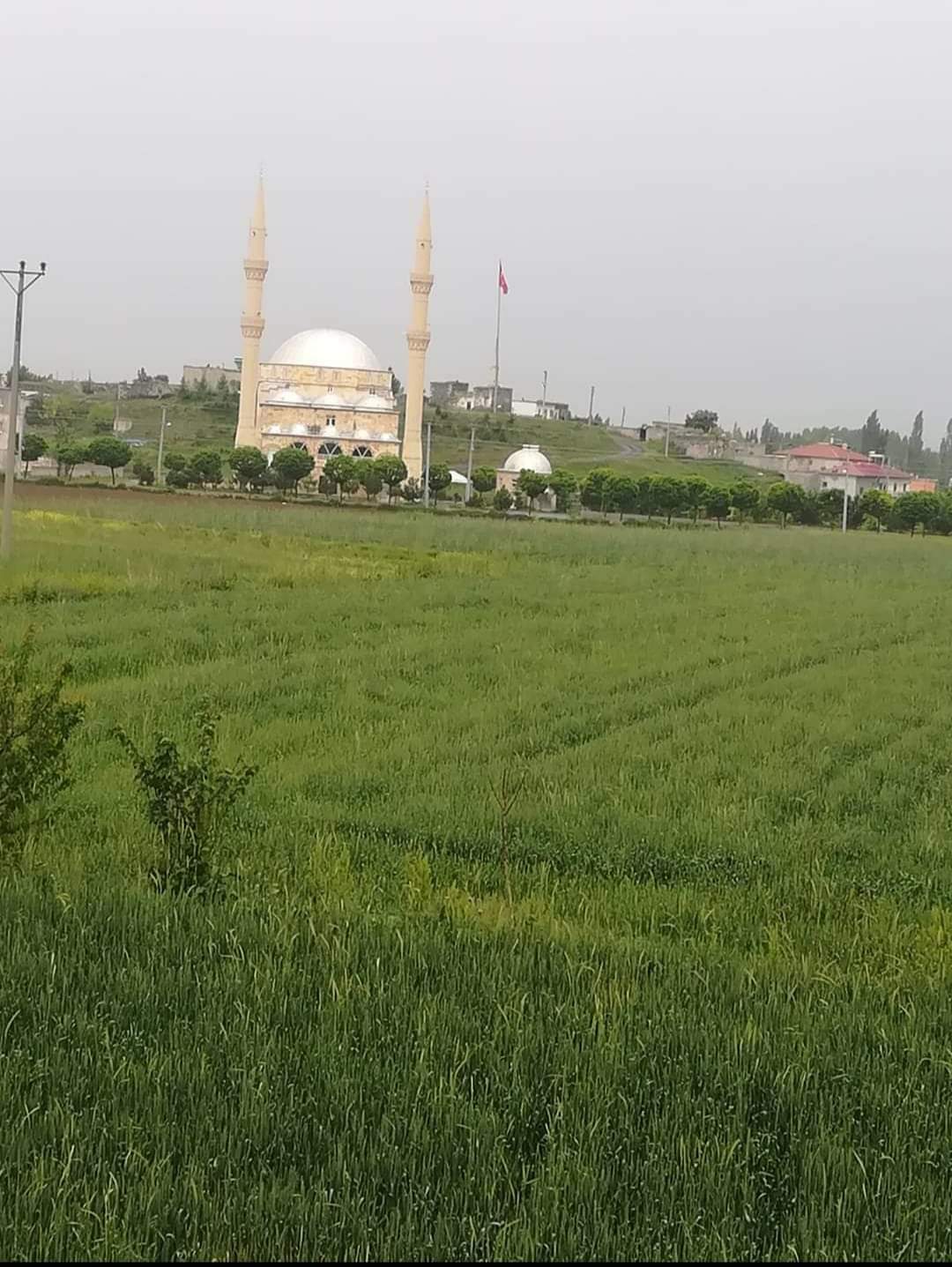 Patates Diyarı Divarlı Belediyesi 